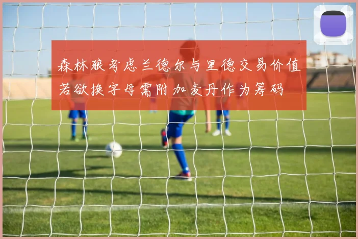 森林狼考虑兰德尔与里德交易价值若欲换字母需附加麦丹作为筹码