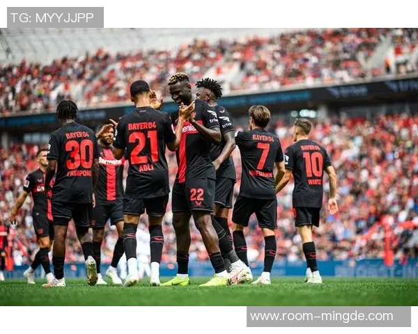 英超六队欧冠战绩出色胜率超六成不败率接近八成